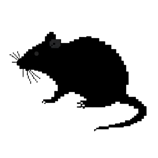 Rats